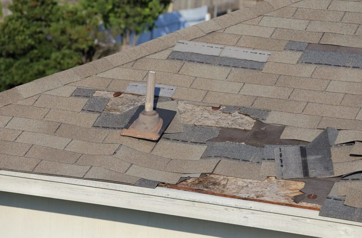 florida roofer roof repair company contractor