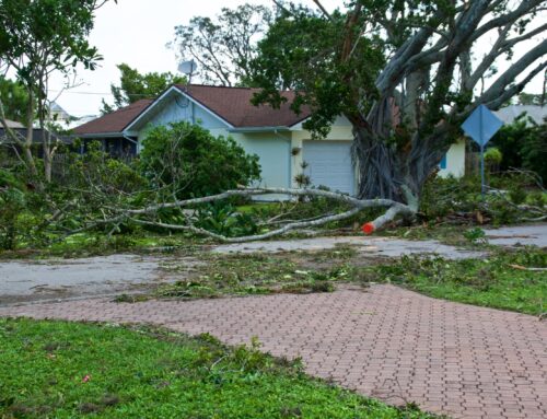 Storm Damage on Roofs in Florida